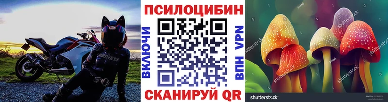купить цена KRAKEN ссылка Псилоцибиновые грибы ЛСД Новотитаровская