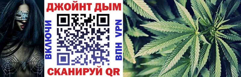Канабис сатива  Новотитаровская 